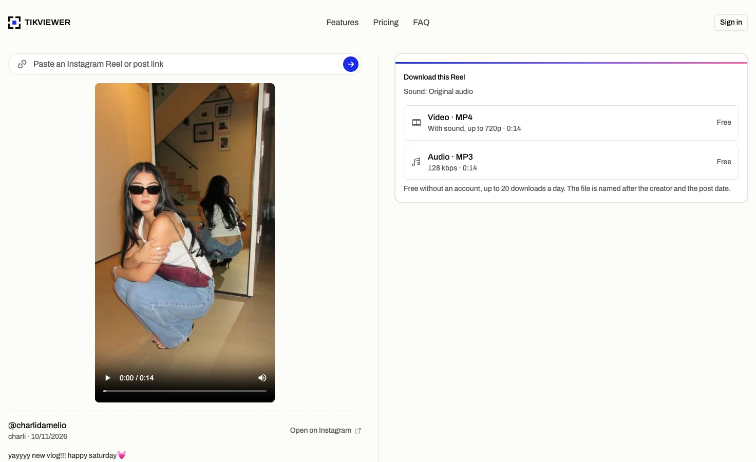 The download card for an Instagram Reel in TikViewer, with Video · MP4 and Audio · MP3 rows marked Free.