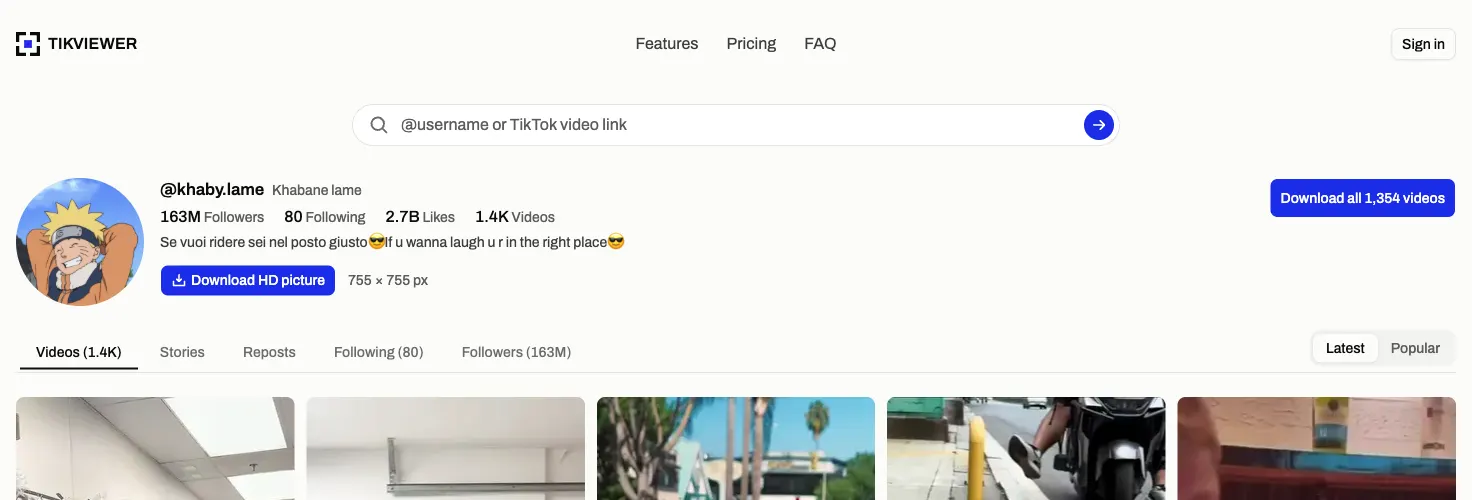 A TikTok profile picture drawn from the original file, with its pixel size and a download button beside it.