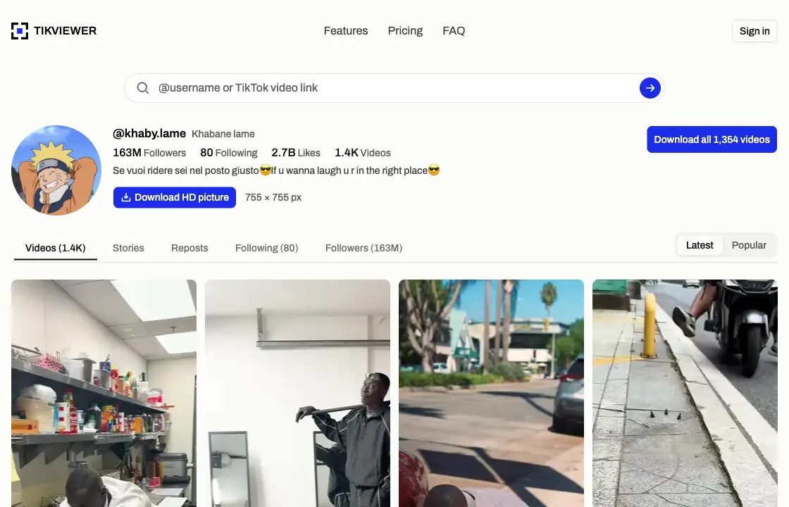 TikViewer showing a TikTok profile picture at full size with a download button beside it.